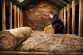 Best Eco-Friendly or Green Insulation Solutions  in Seminole, TX